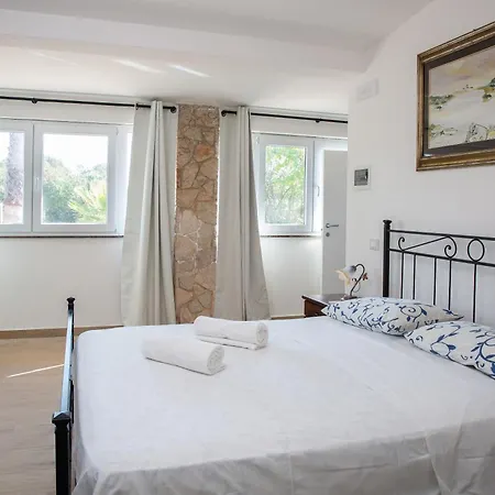 Palmizi * روفانو