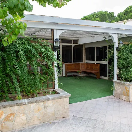 Palmizi فيلة روفانو